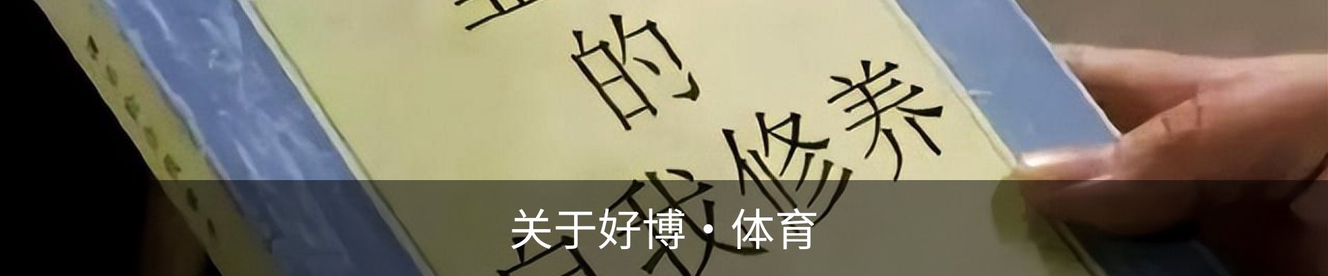 关于好博·体育